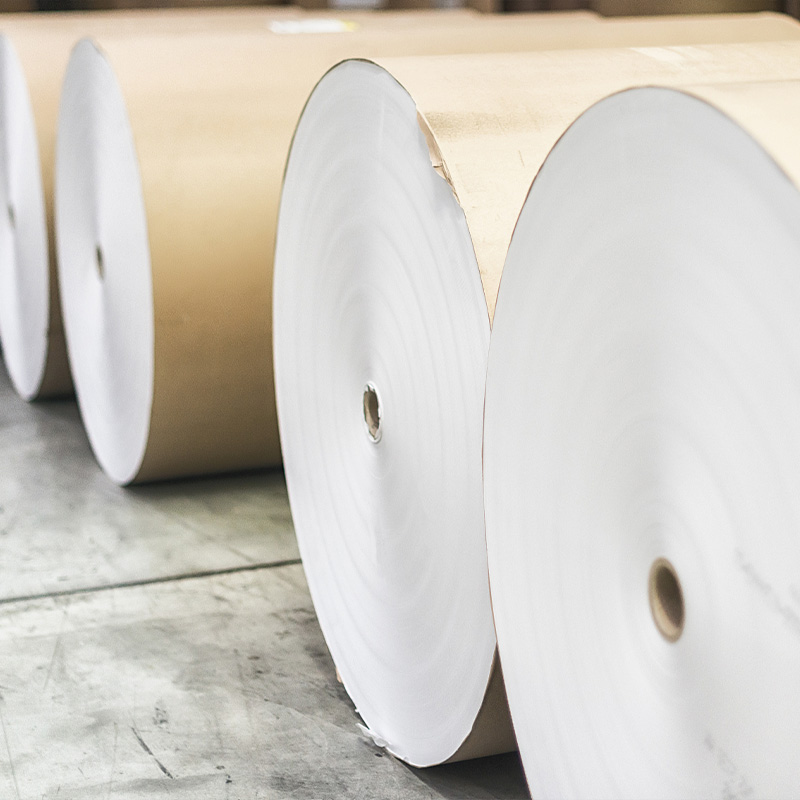 Rolos de papel de filtro